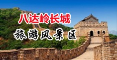 菊花白浆播放中国北京-八达岭长城旅游风景区